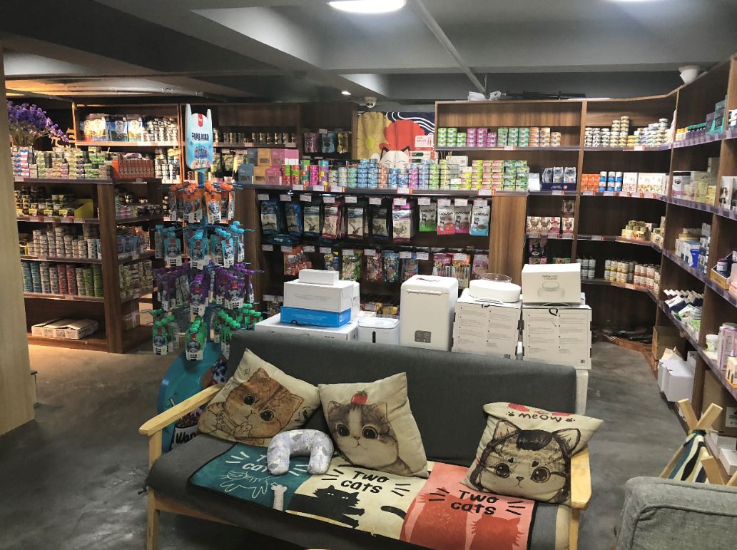 猫舍卖猫这行业为什么这么暴利,猫咪宠物店靠什么盈利