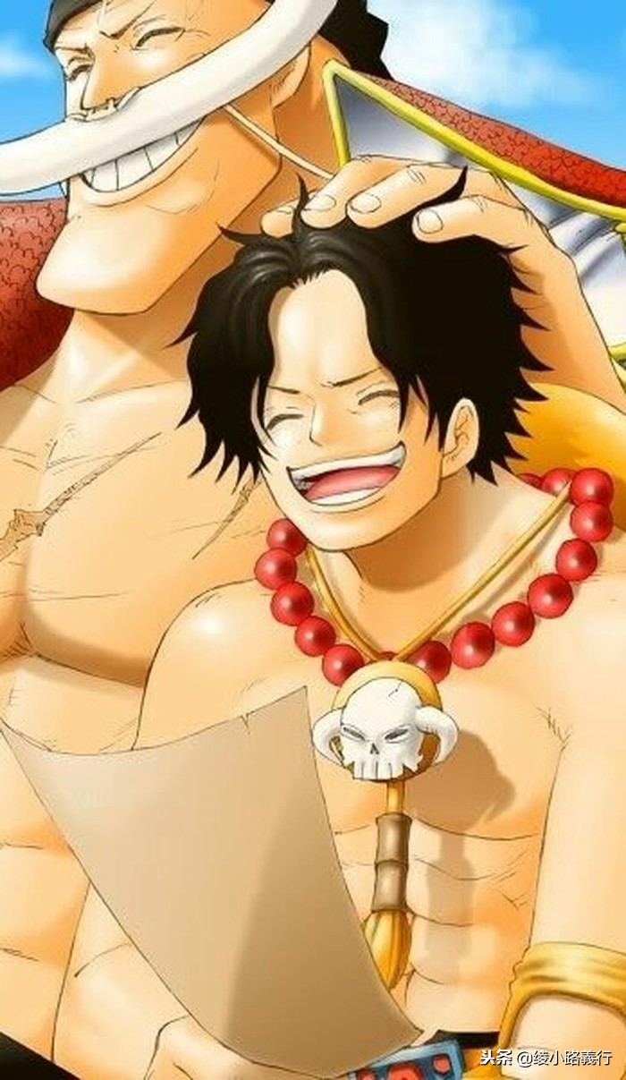 海贼王漫画叫什么名字,海贼王漫画名字跟动画的区别