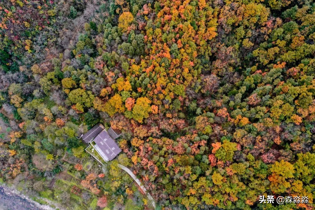 秦岭赏秋怎么玩才好玩呢,大秦岭山旅游攻略