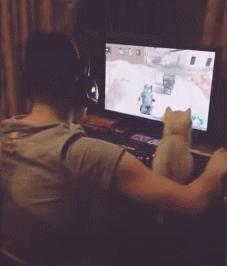 第一次人机大战电影,第一次人机战争