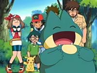 宝可梦No.446——小卡比兽