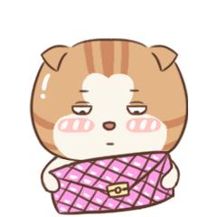 dg品牌实体店都下架了吗,dg品牌真的会降价吗