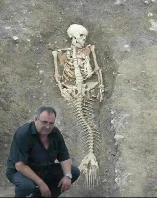 神回复：我舅在澳门买了七百多鞋送我了，这是什么鞋啊？