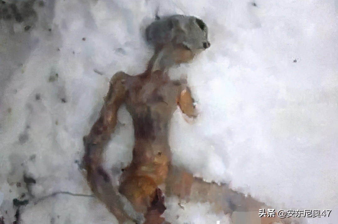 ufo事件大解码外星人真的来过吗,揭秘外星人绝密档案神秘ufo之谜