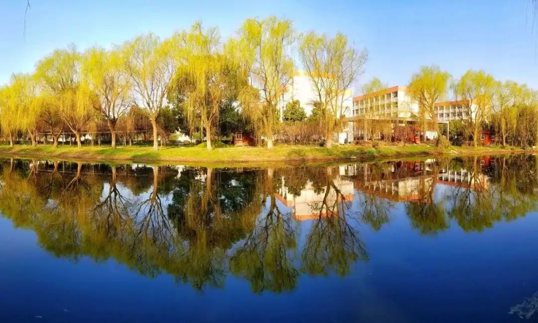 苏州托普“拍了拍”你：冲吧，乘风破浪的毕业生