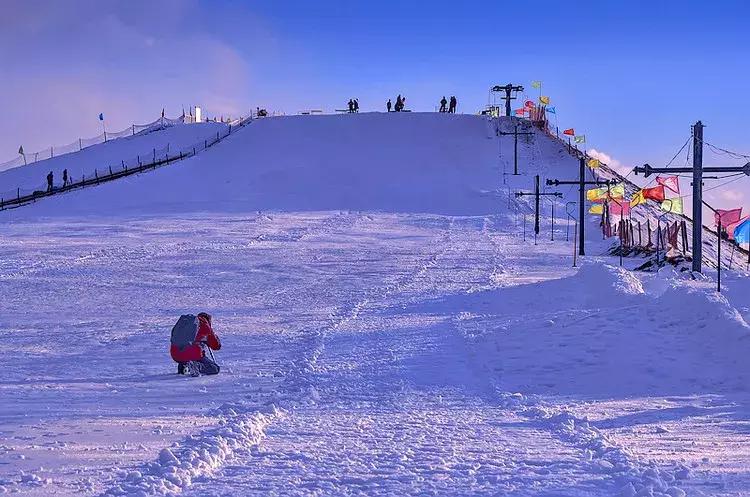 宁夏71个最美一日游打卡地,宁夏旅游一日游最佳攻略图