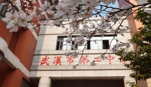 武汉中学排名前十的学校,杨春湖实验中学在武汉排名