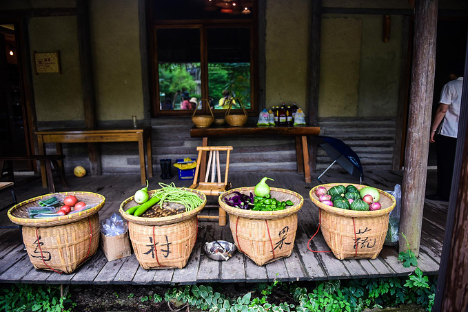 乌村暑期夏令营，吃喝玩乐在这里