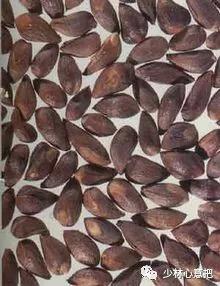 中药药材大全及功效,补肾中药大全及功效