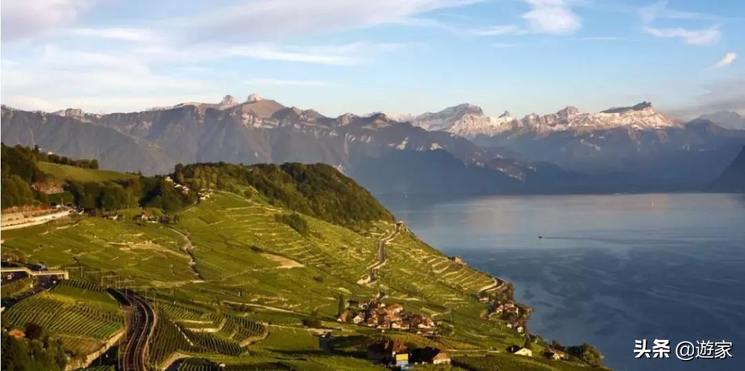 瑞士人竟然这么爱喝，拥有是世界遗产的葡萄园，作业还在靠手工
