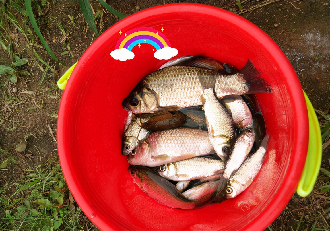 台州钓鱼扔垃圾,浙江台州市钓鱼