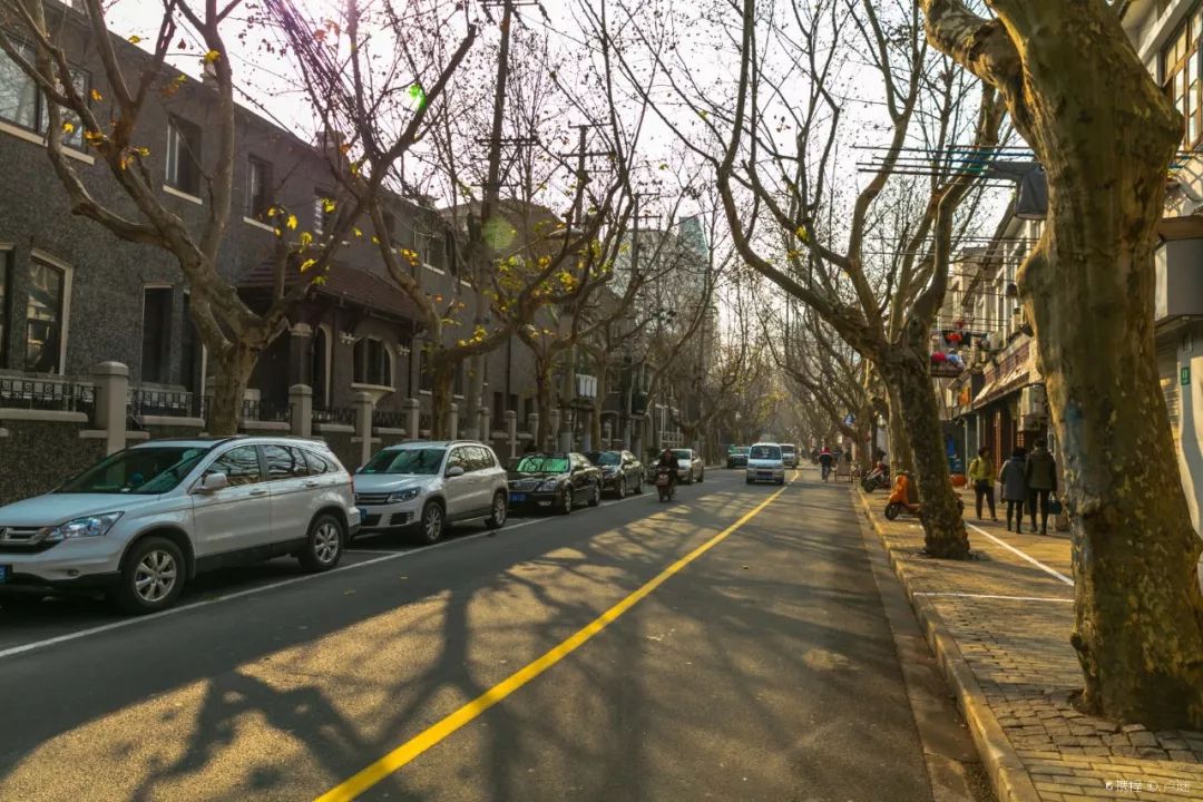 上海十大网红马路,魔都网红一条街
