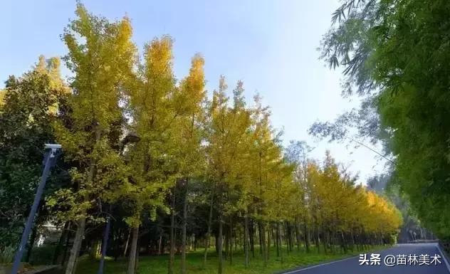 为什么好多人要上大专,为什么一定要上美院