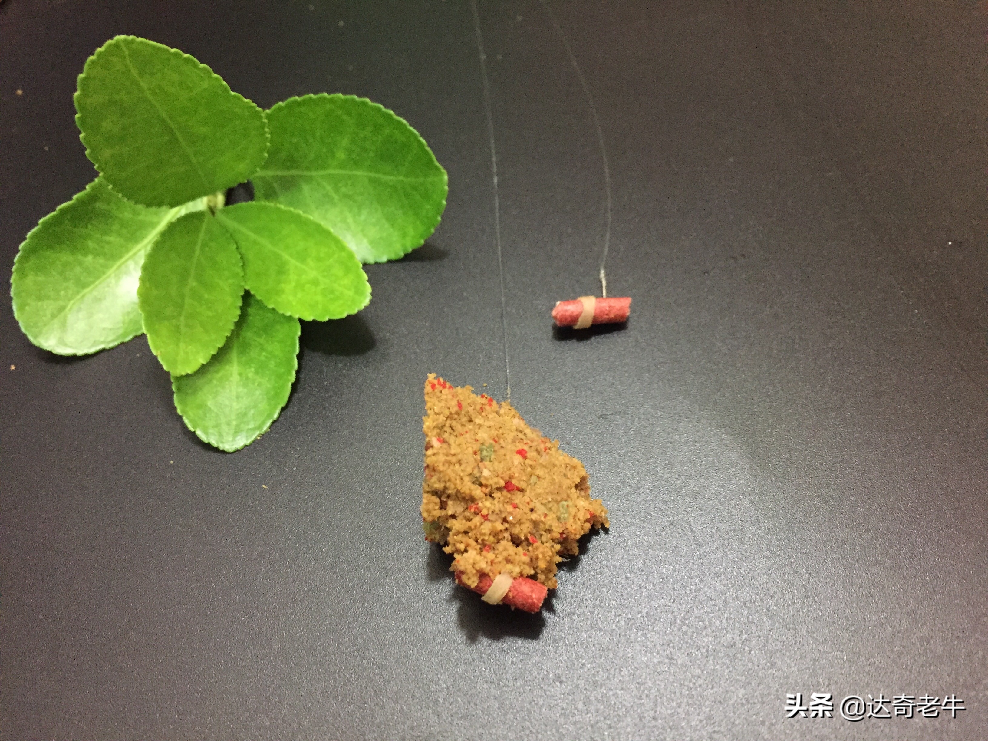 钓鲫鱼红虫蚯蚓正确方法,红虫蚯蚓怎么钓大板鲫