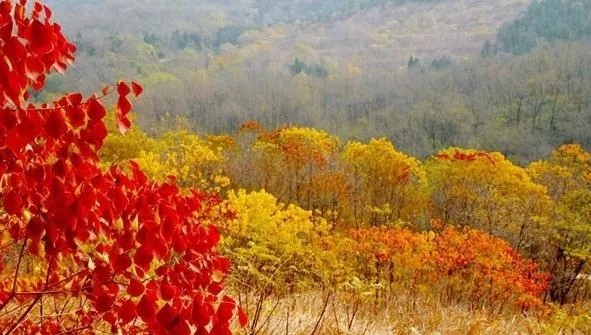閭冲窞鑹惧北鏅尯,閭冲窞鑹惧北鍦伴渿