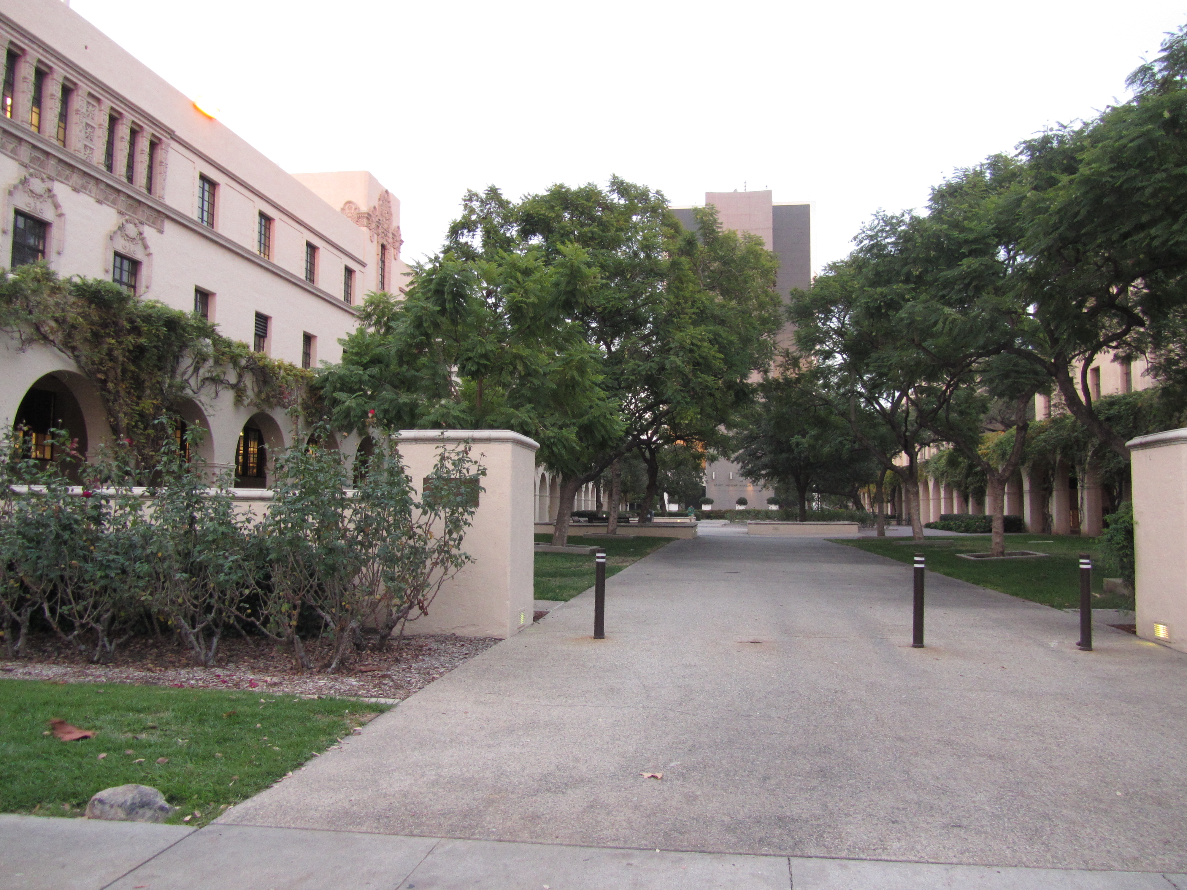 美国人找我要烟抽：美国印象