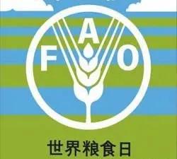 今日往事,今日往事完整版