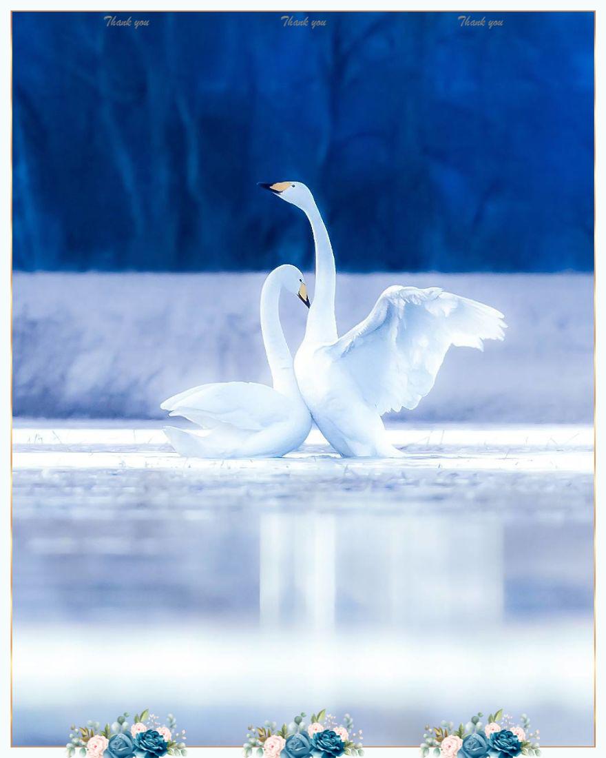 海南是自贸港还是自由港,海南自贸港封闭时间表