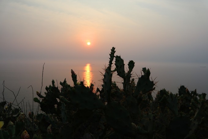 如约而至的涠洲岛,涠洲岛一生所爱