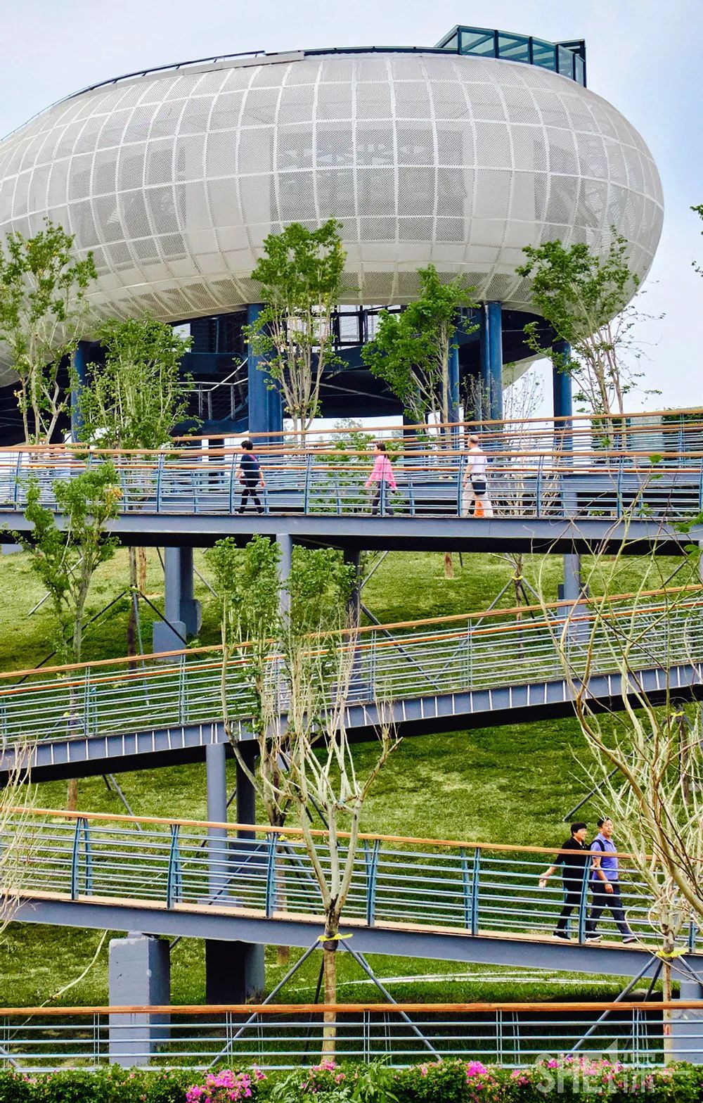 龙华新公园在哪里,深圳龙华区免费的公园