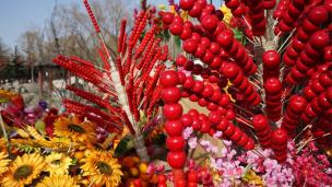 过年你被家人逼婚吗,过年你被催婚了吗你怎么回应的