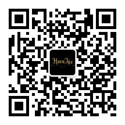 espburner电吉他,esp电吉他是哪个国家的