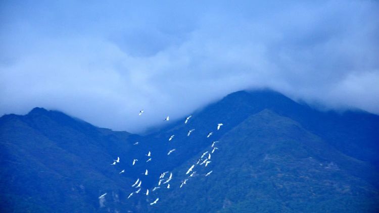 深秋的私语,美文美图经典欣赏