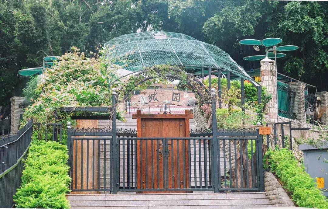 走进南头,这里是中山