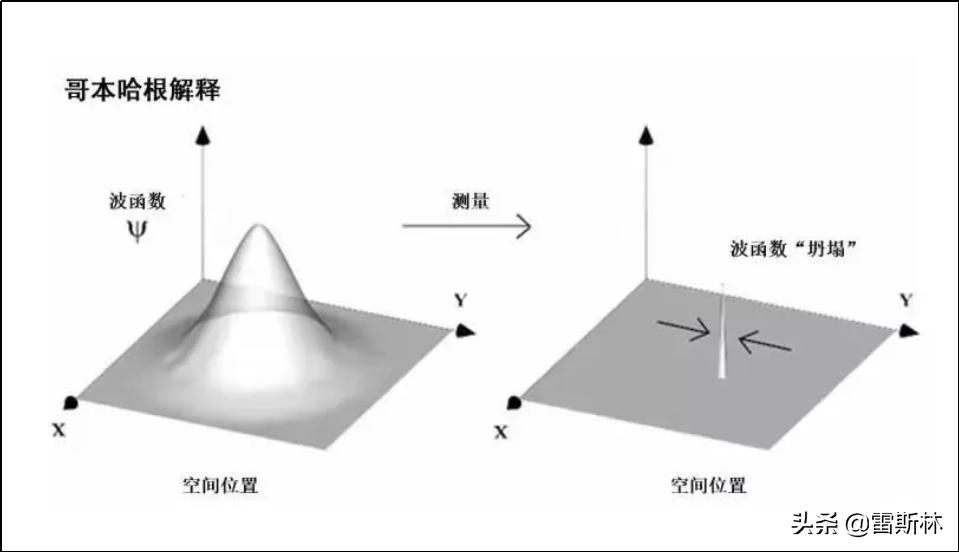水猴子警告,小亮日常科普水猴子