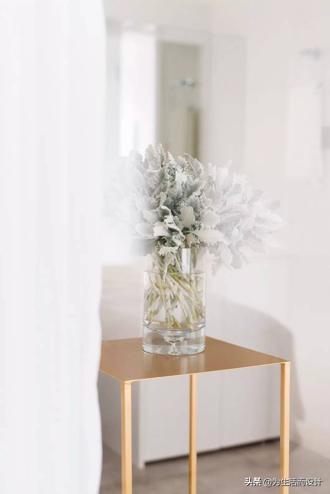 中兴极简模式在哪里,中兴的经营理念