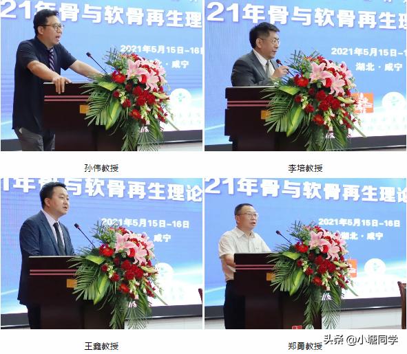 麻塘中医医院成功举办国家级《骨与软骨再生理论与实践学习班》