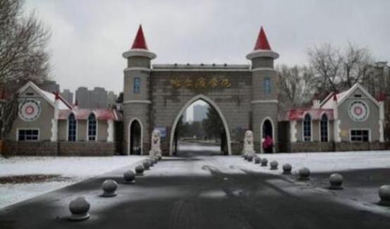 志愿哈尔滨商业大学,哈尔滨填报志愿好就业吗