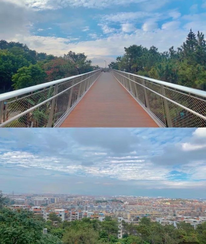 2023年厦门自由行热门攻略,厦门春节旅游攻略自由行最佳路线