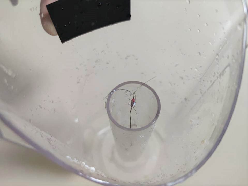 追觅h20洗地机真实测评优缺点,追觅movat20洗地机真实测评