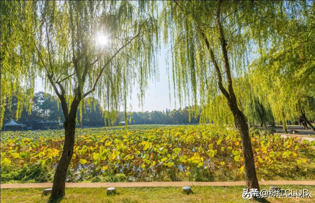 武汉印象 ▏重启第101天,我们在美术馆邂逅这座城