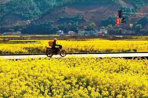 过年了你的爱车清洗了吗,新春要把你的爱车打扮美美的