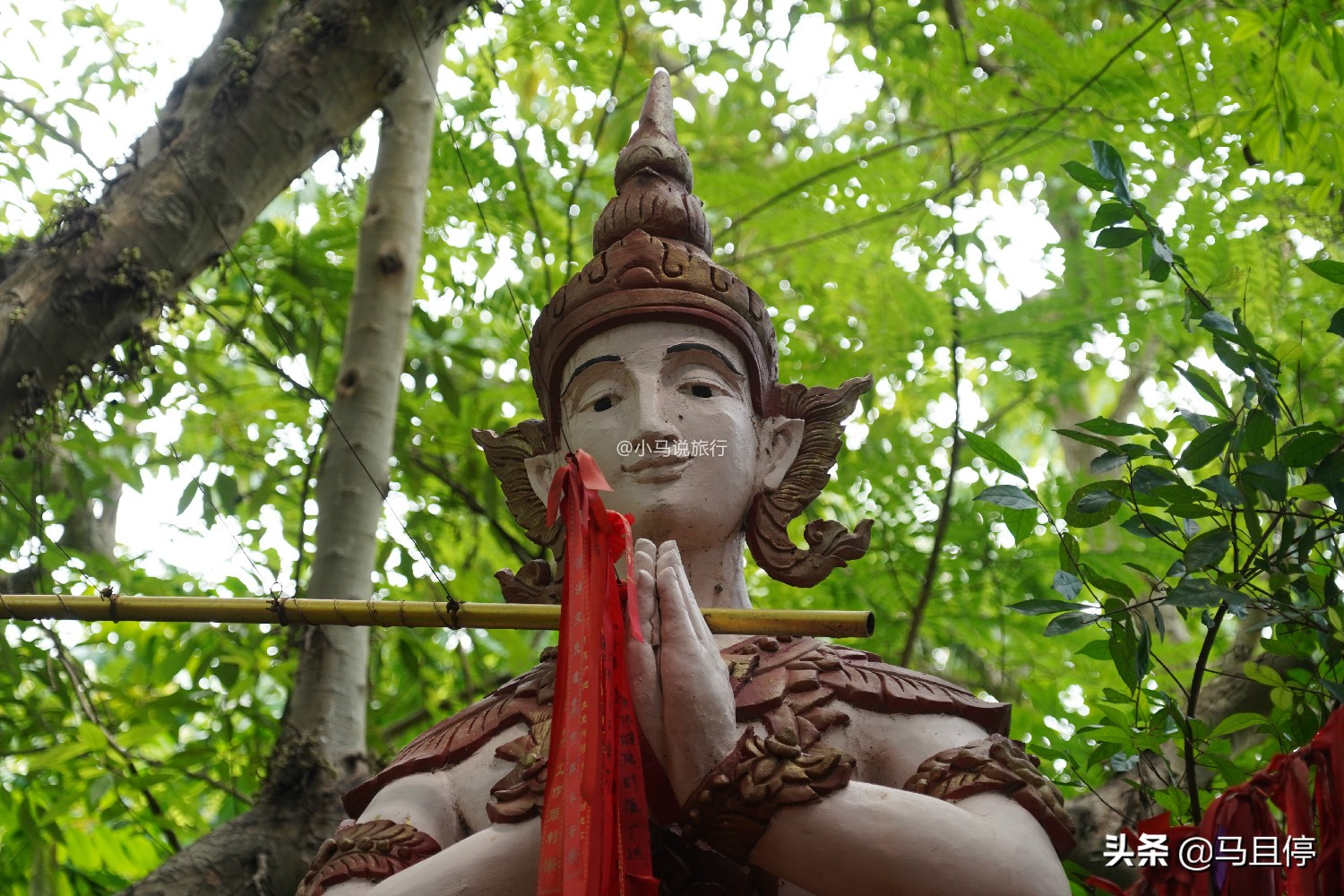 西双版纳看孔雀大象是哪个景点,西双版纳第一名景点