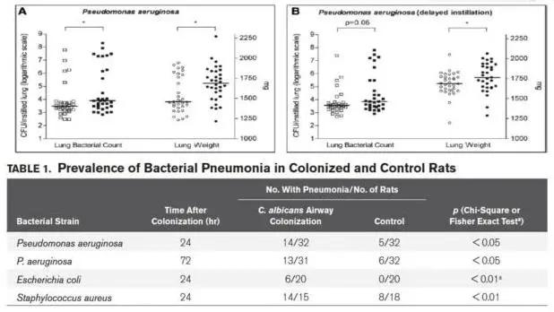 真菌培养及鉴定是阳性严重吗,怎么鉴别肺部真菌感染