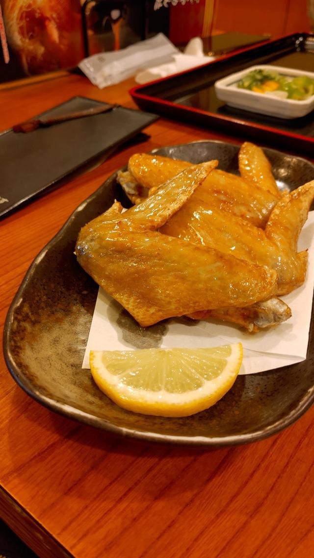 景点打卡日本名古屋乐高公园,日本名古屋乐高公园