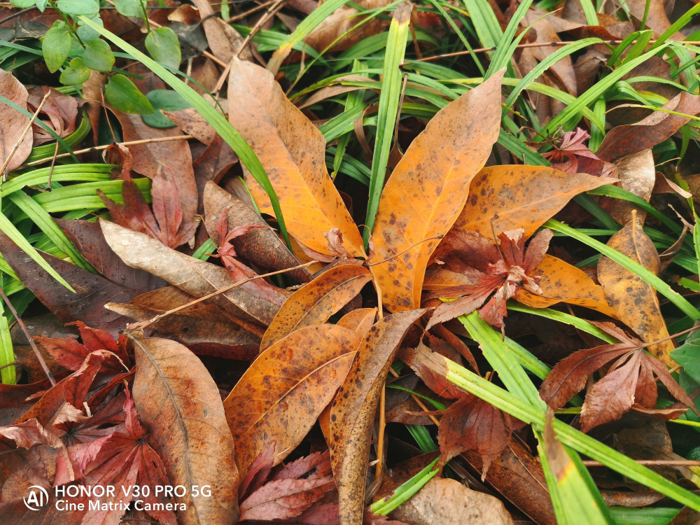 荣耀v30pro还有哪些不知道的功能,荣耀v30pro用了半年体验感怎样