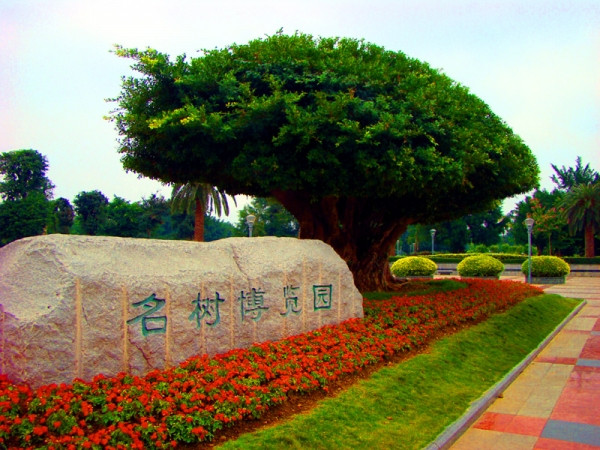 广西南宁旅行介绍,广西南宁西乡塘一日游