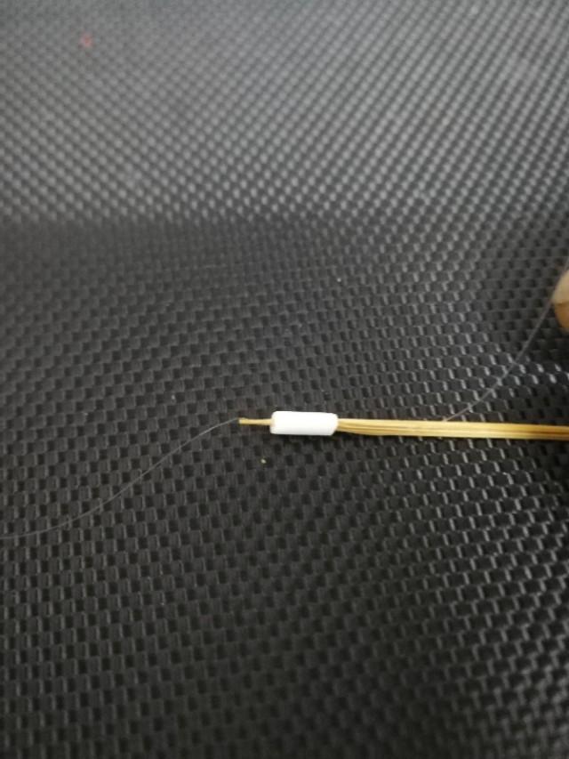 打开新世界之门,世界钓鱼之旅钓大鱼