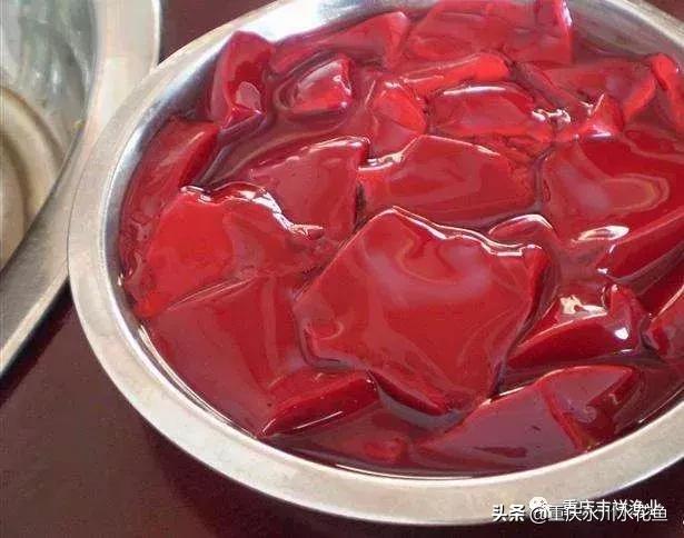 浮游动物饵料大全,各种动物饵料大全