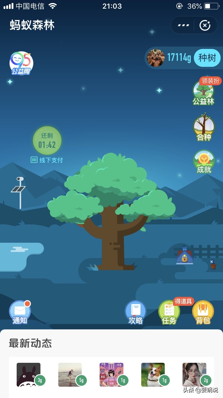 裁缝店的“血雨”互联网+的“新风”