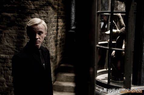 哈利波特德拉科纪念日,哈利波特德拉科的成长