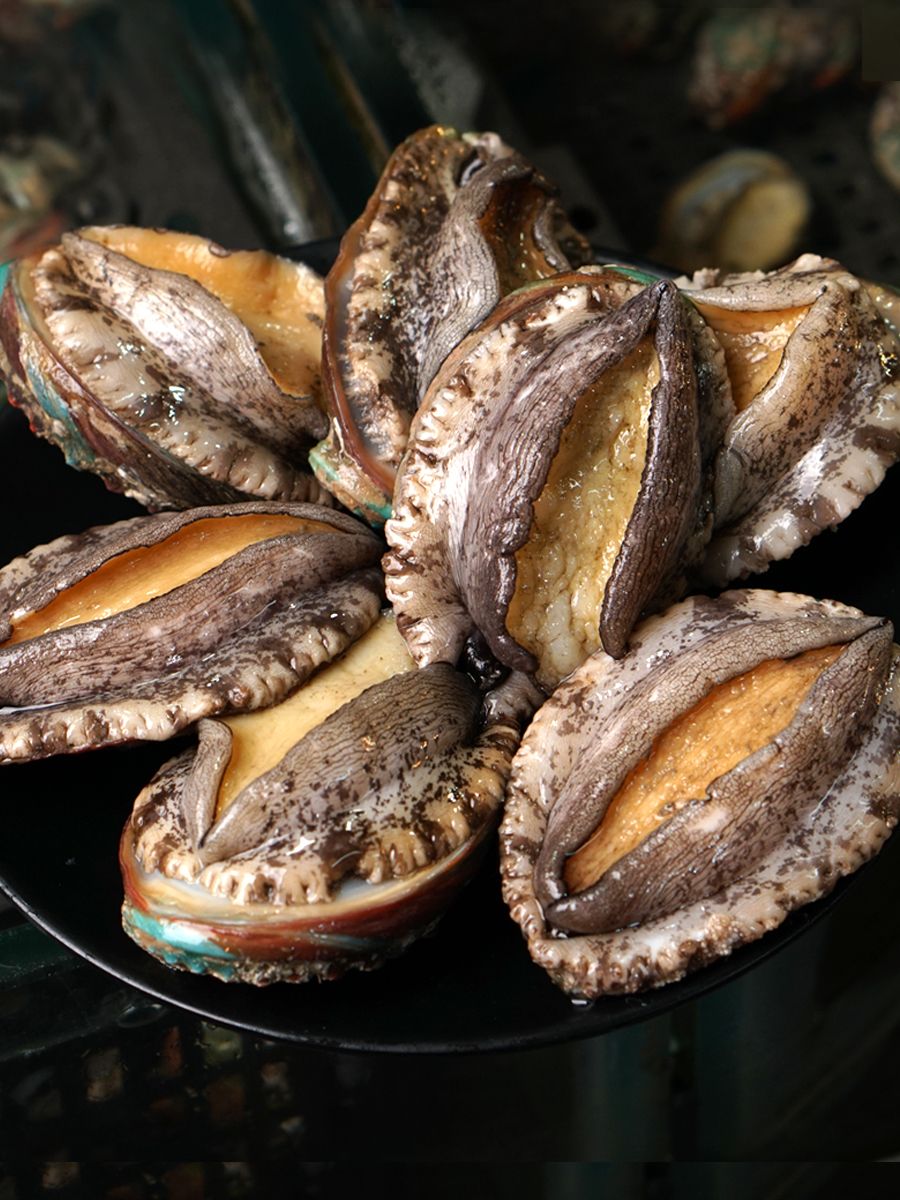 渤海湾野生海鲜图片,渤海湾海鲜为什么好