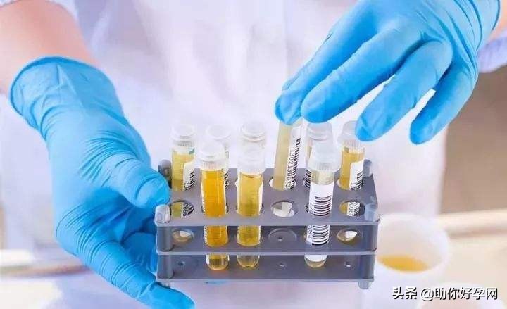 赵又廷高圆圆一家五口外出遛娃,高圆圆赵又廷照顾妈妈