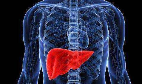 经常喝酒肝脏受损有哪些表现症状,喝酒后若出现这3个现象肝脏异常