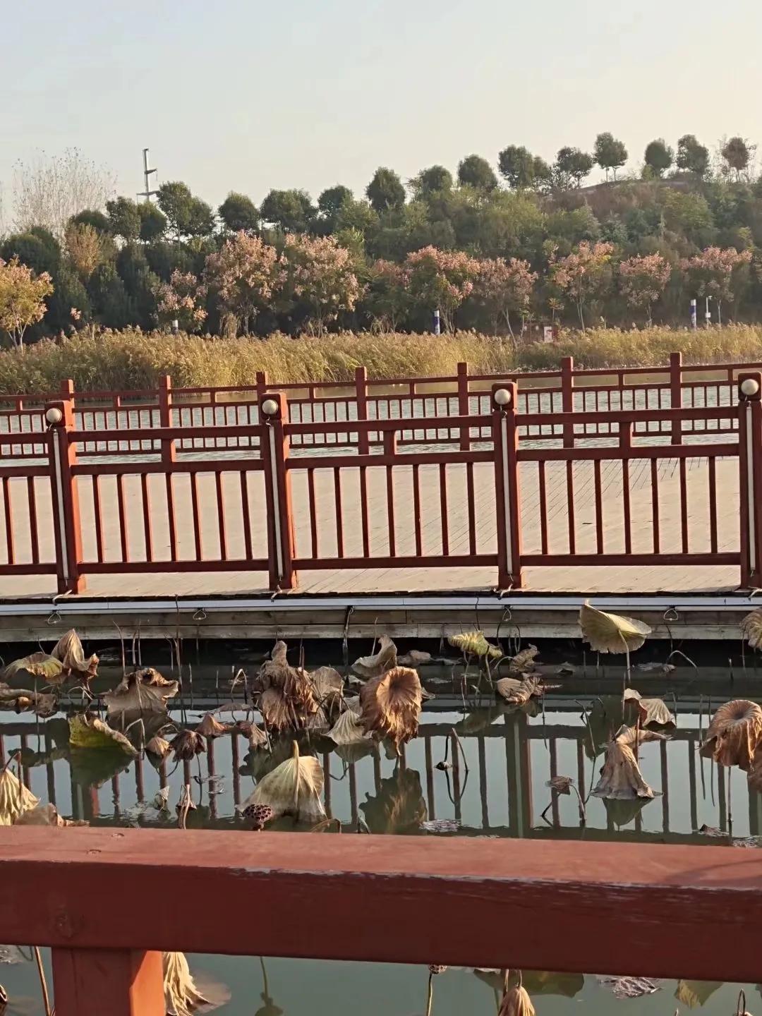 怎么样写字好看,怎么样把字写好看