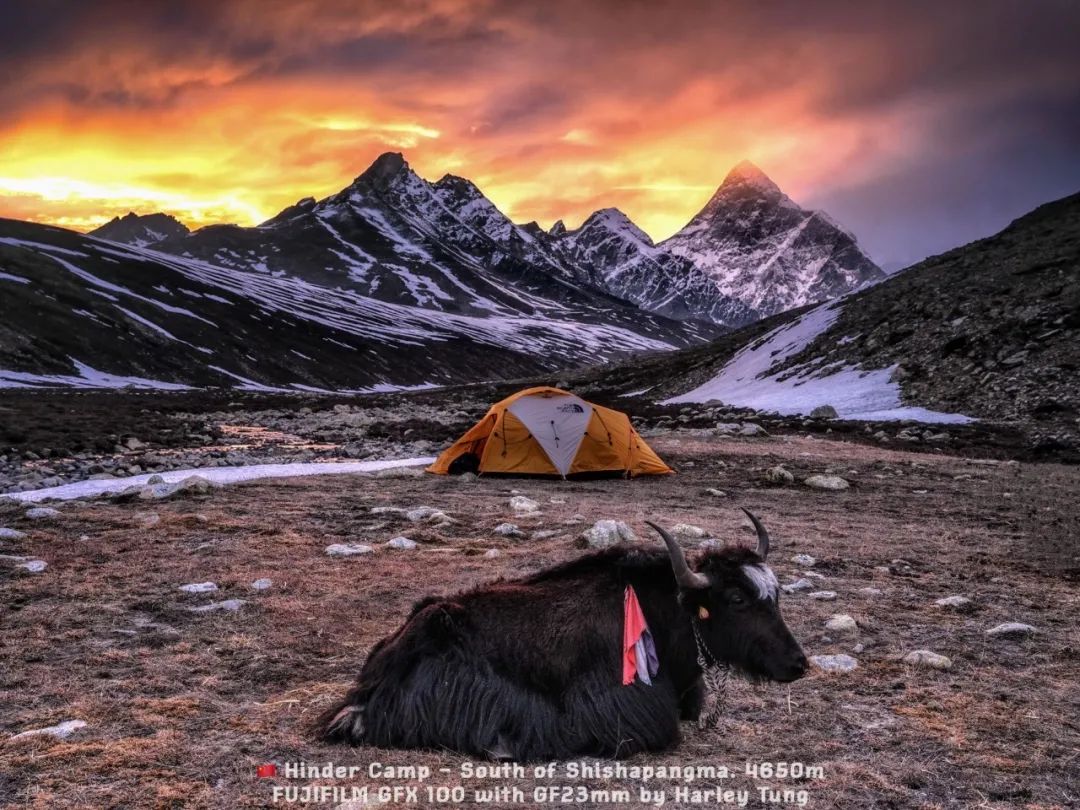 希夏邦马峰能看到珠峰吗,希夏邦玛峰珠峰